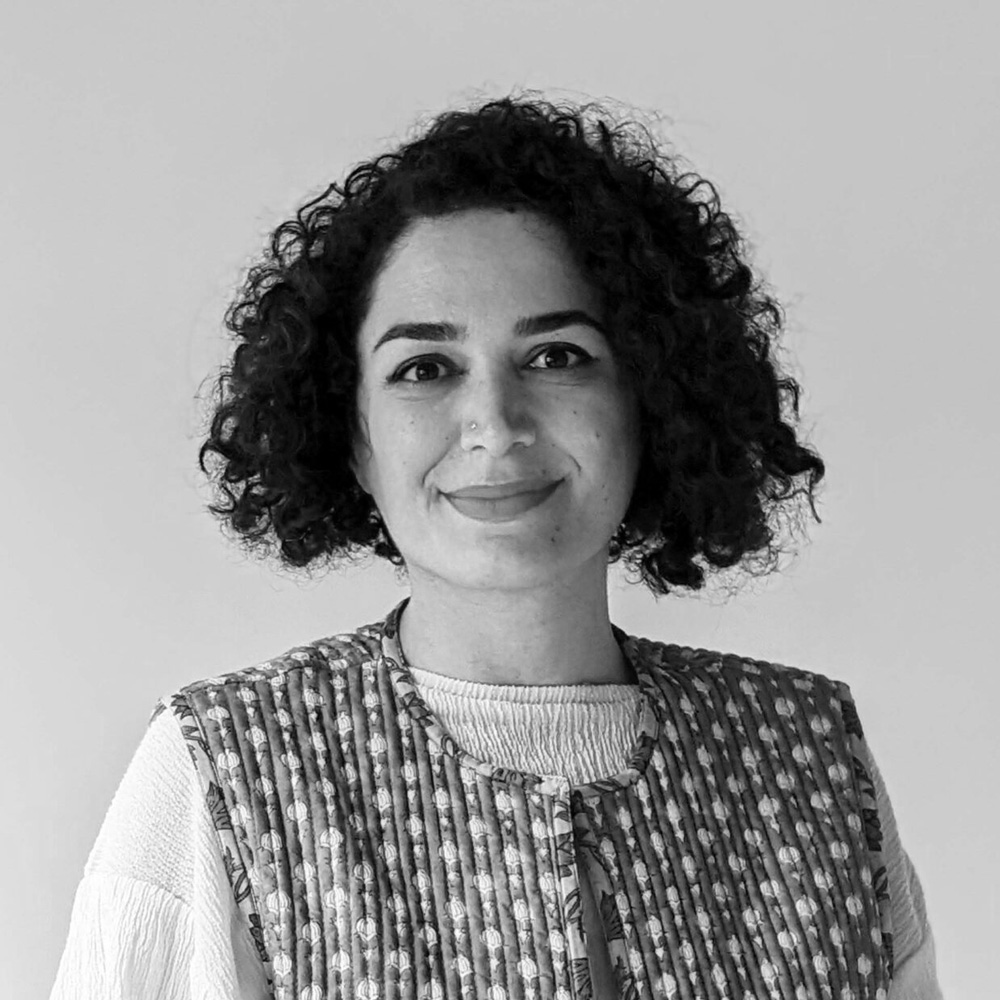 Risktakers Fellowship - Soudeh